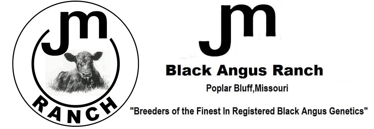 Black Angus Ranch